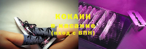 прущие грибы Алексеевка