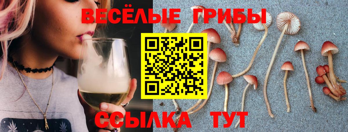 Петровск  Галлюциногенные грибы мухоморы  Вход с VPN 