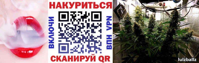 продажа наркотиков  Петровск  Бошки марихуана THC 21% 